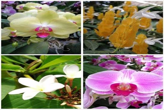 K8��������Ӯ��һ����������