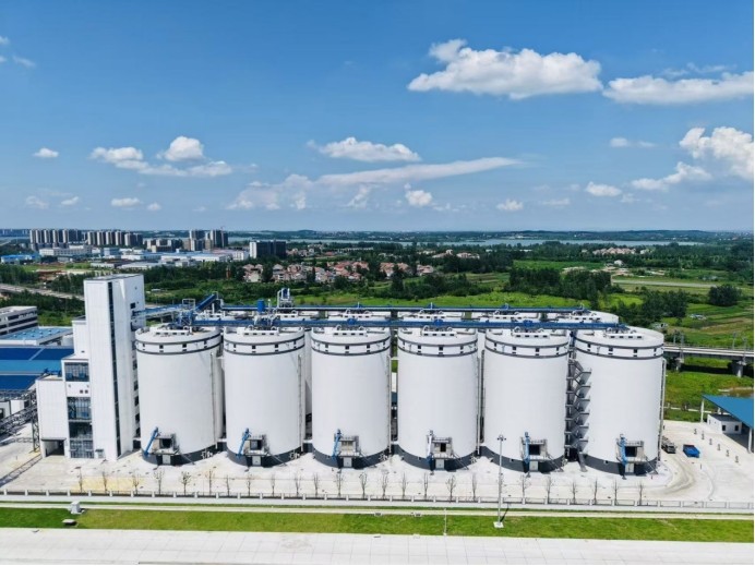 K8��������Ӯ��һ����������